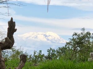 Neuschnee-am-Kilimanjaro